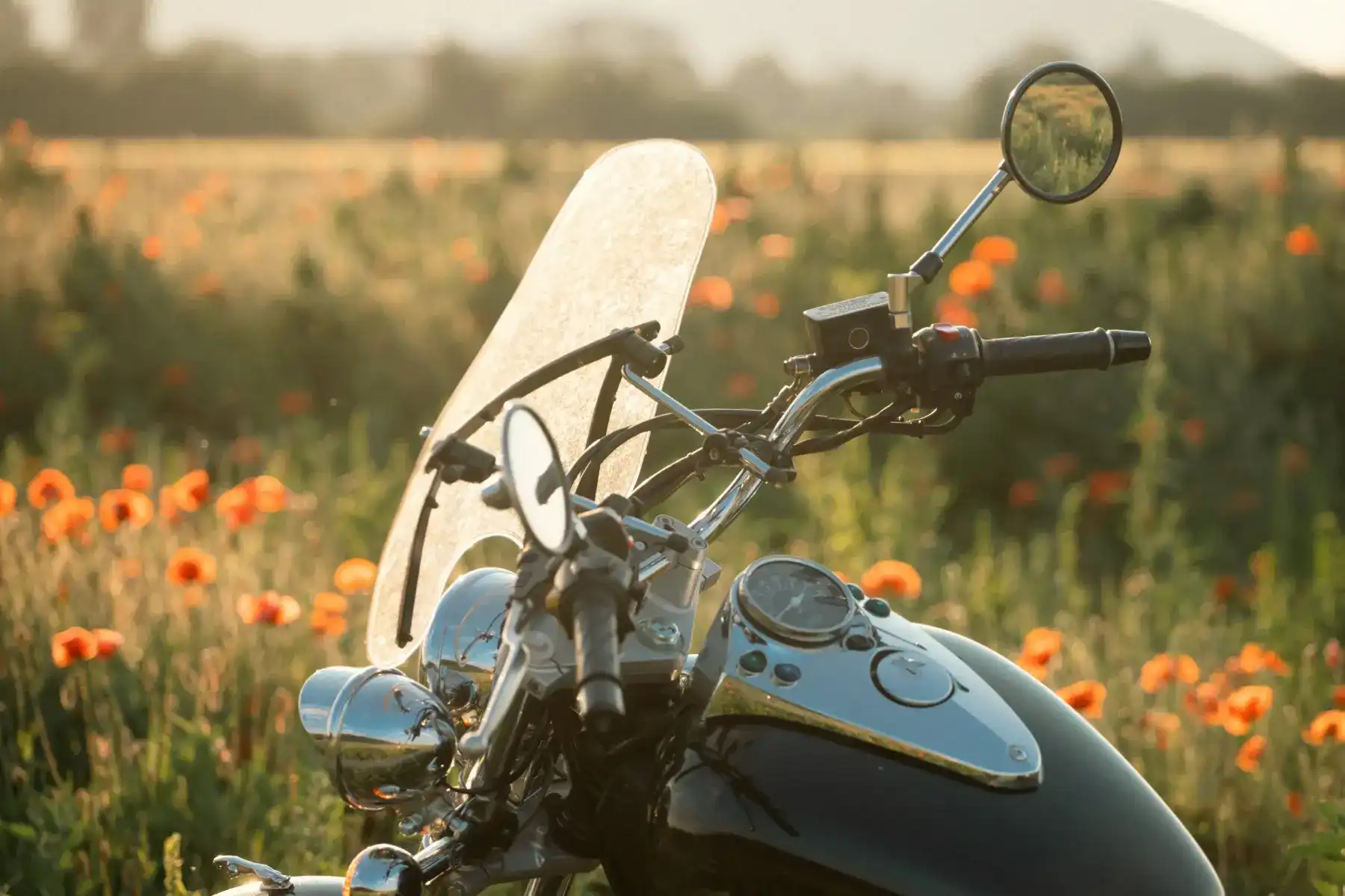 motocykl na tle kwiatów