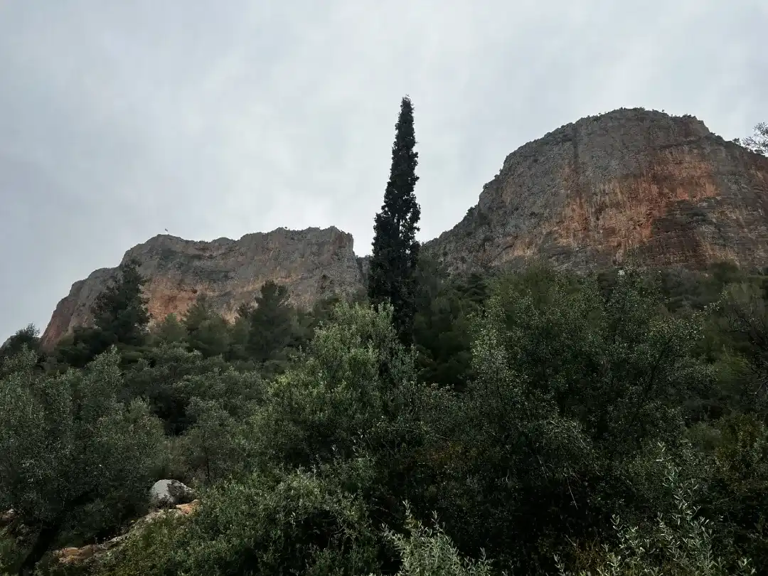 hospital i red rock
